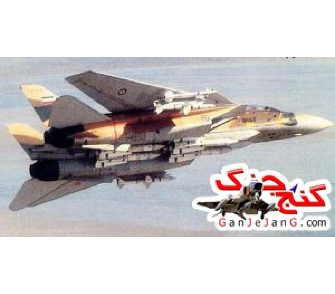 ققنوس از خاكستر بر می خيزد قسمت هفتم-مهدی بابامحمودی ملاقات ژنرال‌ها با تامكت